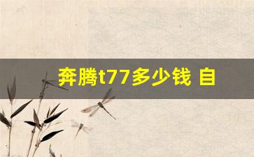 奔腾t77多少钱 自动挡(奔腾t77多少钱 自动挡图片)_https://www.eamstsz.com_深交所_第1张